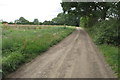 Bridleway towards Stuchbury