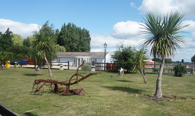 A Plough and a Palm Tree in the Garden
