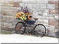 Bicycle as planter