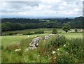 View over Geltsdale