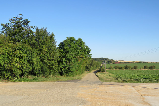 A farm track near Ickleton