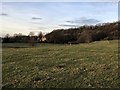 Farmland south of Kerridge