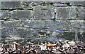 Benchmark on wall on west side of Bracken Bank Avenue