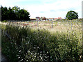 View of Finberry housing estate