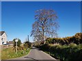 Swordale Road, Evanton