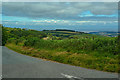 Old Cleeve : Country Lane