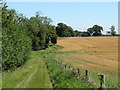 Bridleway to Uckerby