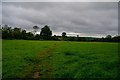 Bath : Grassy Field