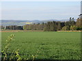 Field south of Maryton