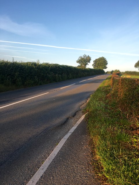 The A385
