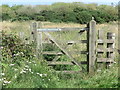 Gate, West Holywell