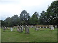 St Mary, Buckland: churchyard (c)