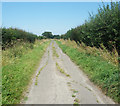 SU2284 : The Lane, Hinton Parva by Des Blenkinsopp