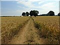 Footpath from Dean Grove to Charlbury