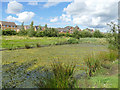 SE3127 : Upper balancing pond, Sharp Lane Plantations by Stephen Craven