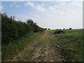 Farm track near Kirby Hall Farm