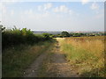 SP9095 : Farm track off Harringworth Road by Jonathan Thacker