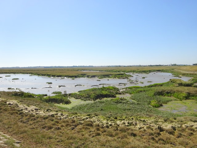 Langenhoehall marsh; 1 mile from Mersea Isle