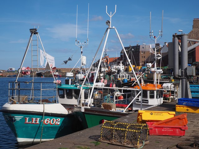 Fishing Boats in Victoria Harbour Dunbar