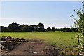 Field by Grigg Lane