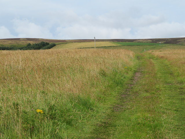 Grassy track near the Whiteadder Reservoir