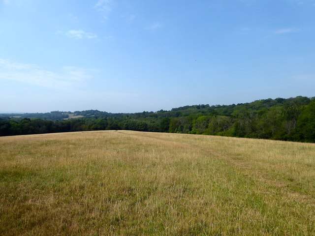 Site of Sloe Garden Wood