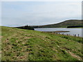 Grassy field above Millknowe Cottages