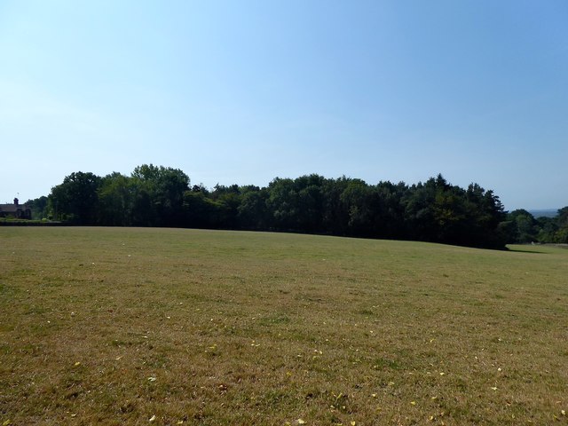 Gate Field