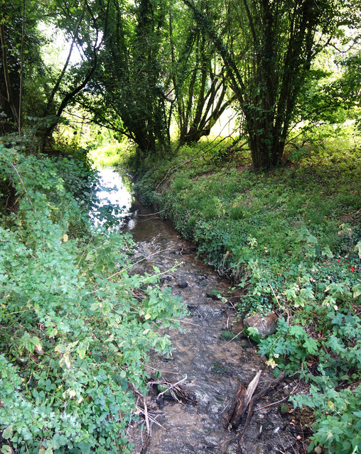 River Cole at Botswicky Copse