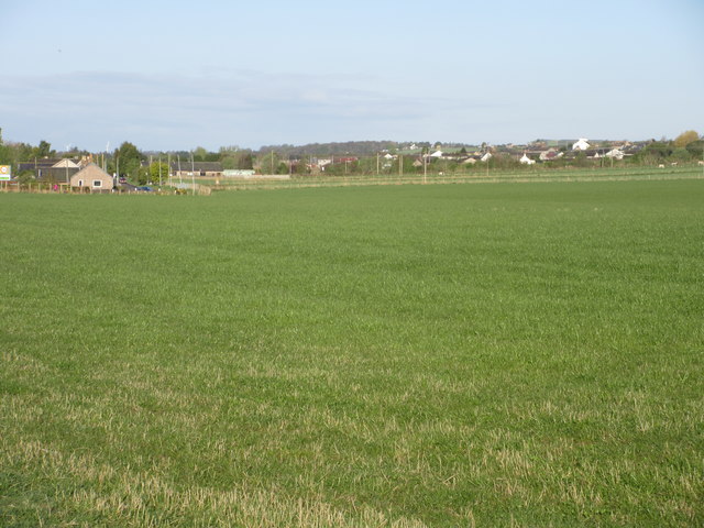 Grassy field near Maryton