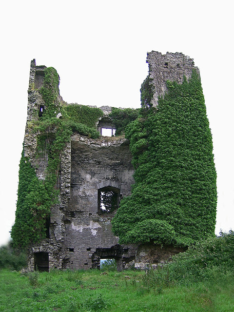 Castles of Munster: Annagh, Tipperary (2)