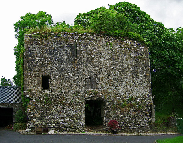 Castles of Leinster: Ballyfoyle, Kilkenny