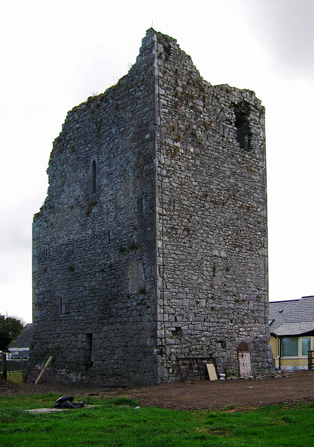 Castles of Munster: Ballymacquim, Kerry (2)