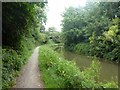 Towpath and canal passing through Westover, Bridgwater