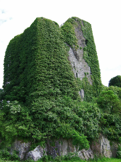 Castles of Munster: Carrigareely, Limerick (2)