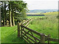 Lammermuir landscape