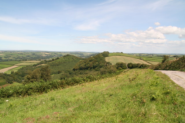 Towards Hangman's Hill from Codden Hill © Chris :: Geograph Britain and ...