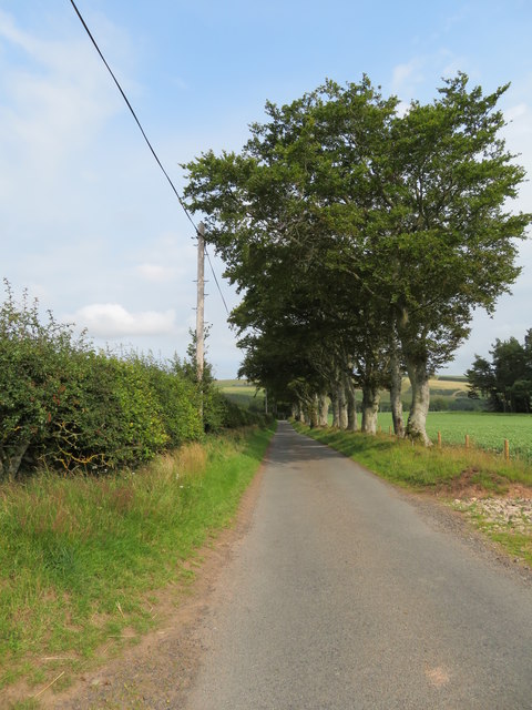 Road from Cranshaws Castle to the main road