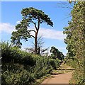 Roman Road near Stourbridge, Dudley