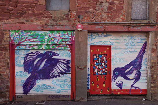 Magpie street art by Matthew Rodgers