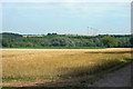 Towards the Wind Farm