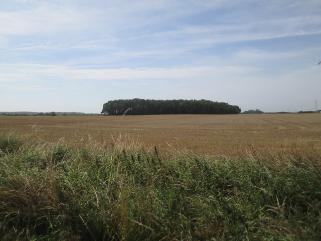 Over  stubble  field  to  Fox  Covert