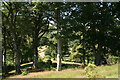 View into the valley to the west of the castle, Castle Hill Estate