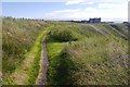 Coast path approaching Collieston