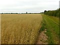 Bridleway to Southwell