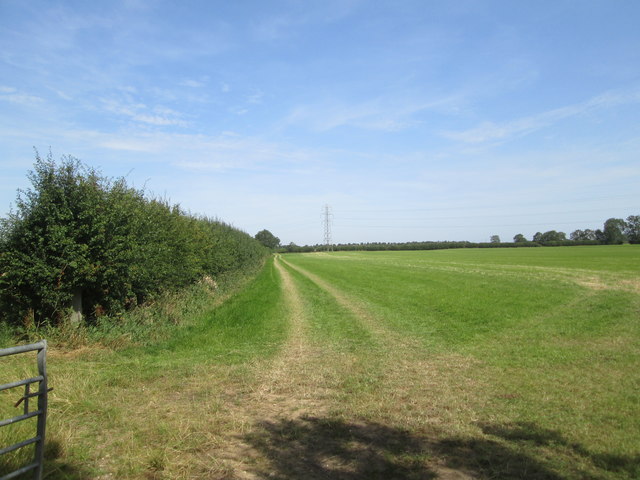 Pylon  in  an  empty  field