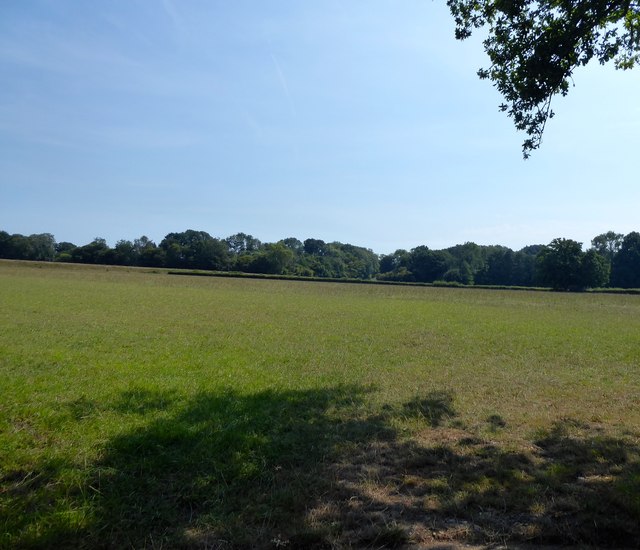 Long Four Acres/Cricketing Field