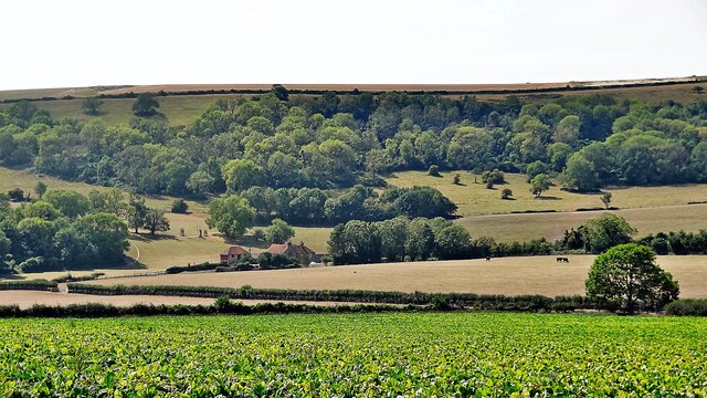 View SW towards Lychpole Hill