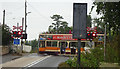 SY2592 : Seaton Tram crossing the A3052 by Mr Red