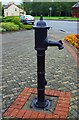 N0589 : Old water pump, Dromod, Co. Leitrim by P L Chadwick